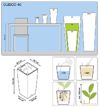 office-plants-lechuza-cubico-40